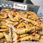 Camarão normal 14000