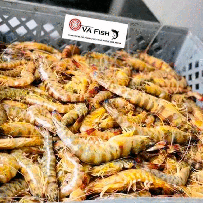 Camarão normal 14000