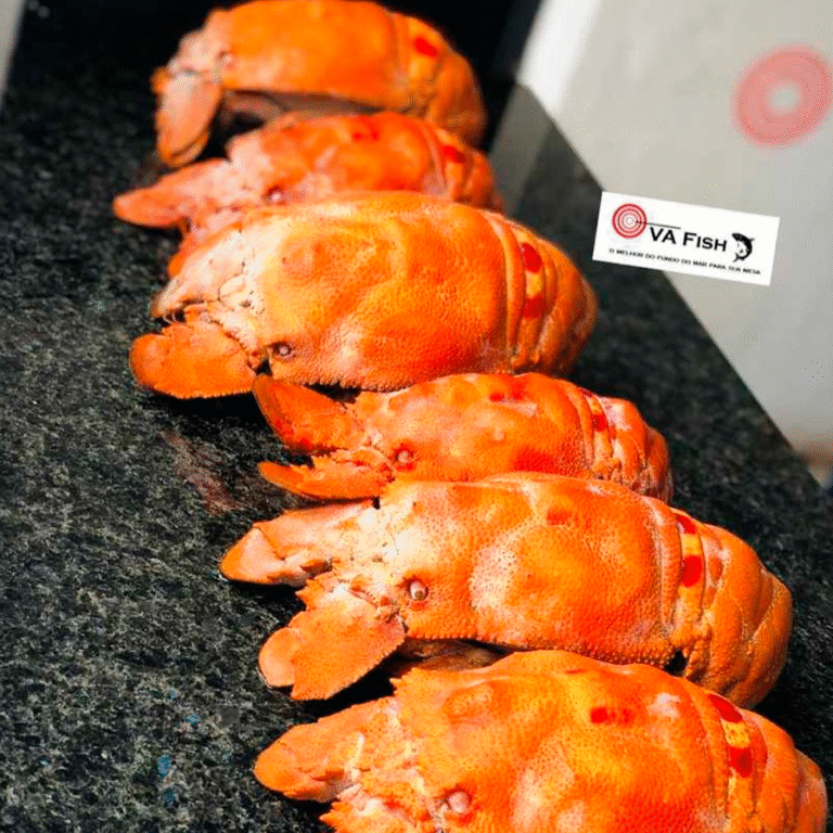 Lagosta barata 18000